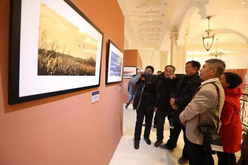 倪萍老師與您相約天鵝湖 文化藝術(shù)交流活動策劃